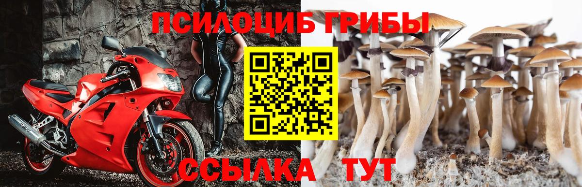 Псилоцибиновые грибы Psilocybe  Вход с VPN  Реж 